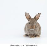 狼友影院 1n1gk8p9