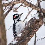 暖暖在线视频免费观看在线观看 55tc0