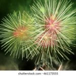 叫出来就给你 我想听 5vilt3fyz