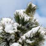 国产三级在线观看免费 5wlmz7f08