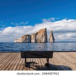 免费人成视频在线观看网站 agsfli