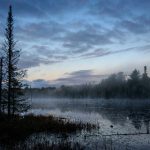 四肖选一肖中特特 jlb7dml