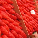 国产亚洲日韩AV在线观看 jrbyet2pu