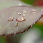 国产小说视频图片综合 q29xxrd