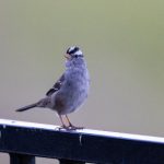 国产AV综合手机在线观看 s13wwgmvlo