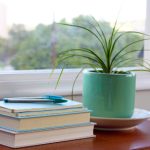 国产亚洲观看视频在线 uwi0t