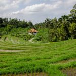 国产在线观看AV直播 xsbl6j