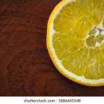 免费伦费影视在线观看 zj00v