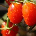 一耽女孩的梗出处和背景故事:从网络文化到青春叛逆的象征解析 gay4xt78