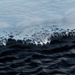 优直播官网登录:畅享精彩直播体验,轻松注册与登录指南 i3tuvxa